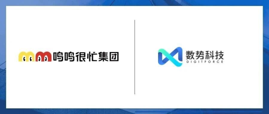 Partners WithDigitForce Co-Builds