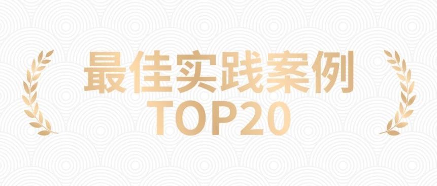 Partners WithDigitForce Selected as a 2024 China AI Agent Best Practice Case